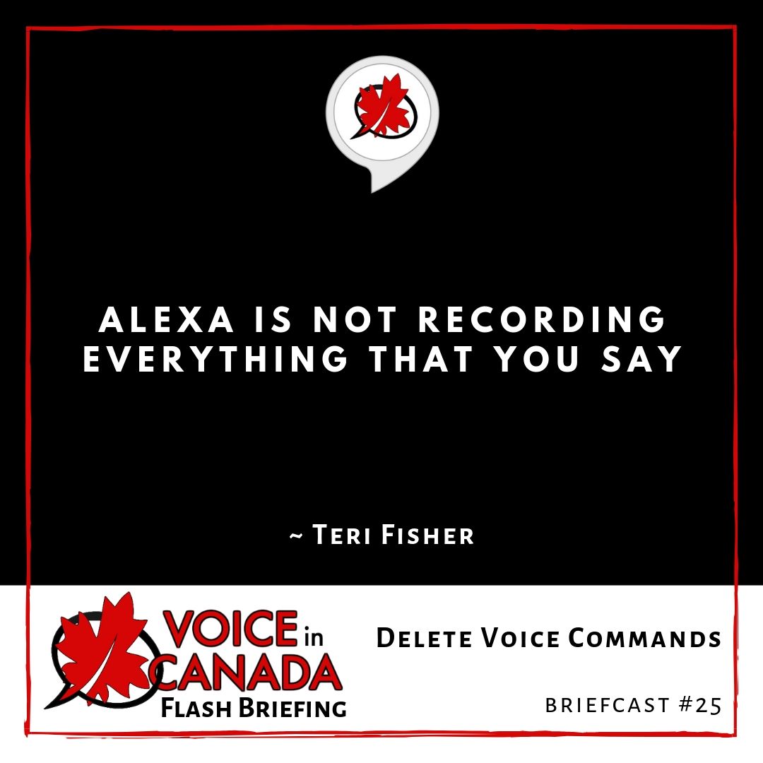 Delete Voice Commands | Voice in Canada