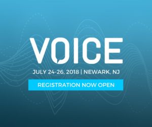 Voice Summit AI