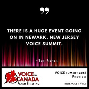 VOICE summit 2018 Preview