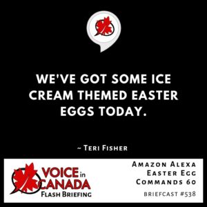 Amazon Alexa Easter Egg Commands 60