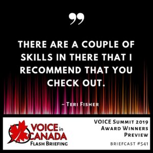VOICE Summit 2019 Award Winners Preview