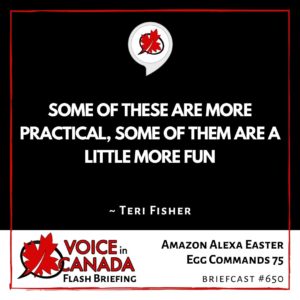 Amazon Alexa Easter Egg Commands 75
