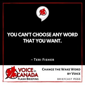 Change the Wake Word by Voice