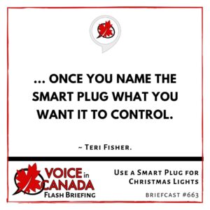 Use a Smart Plug for Christmas Lights