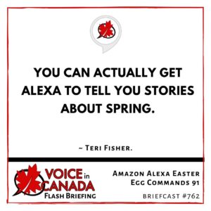 Amazon Alexa Easter Egg Commands 91