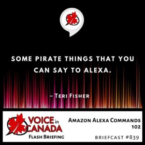 Amazon Alexa Commands 102