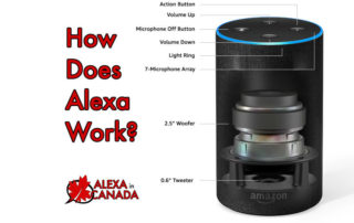 How Does Alexa work