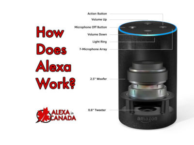 How Does Alexa Work? - Voice in Canada