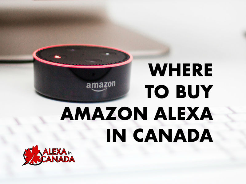 Where to Buy Amazon Alexa in Canada