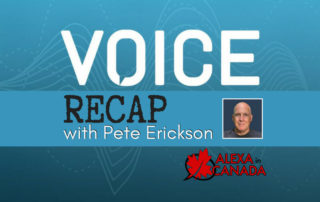 Voice Summit 2018 Recap with Pete Erickson