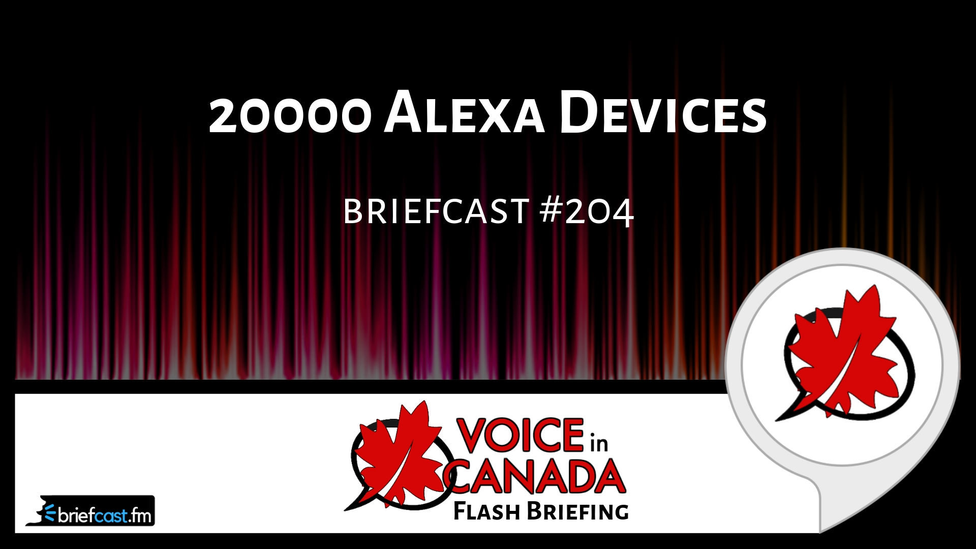 20000 Alexa Devices