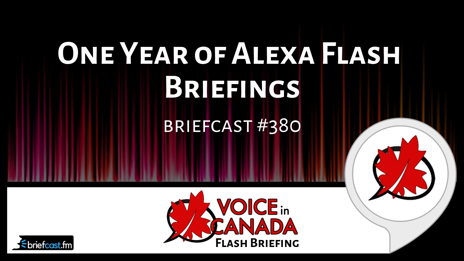 One Year of Alexa Flash Briefings