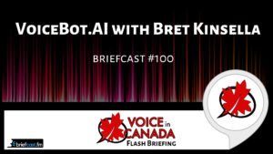VoiceBot.AI with Bret Kinsella