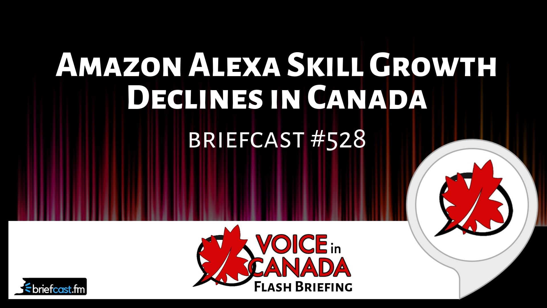 Amazon Alexa Skill Growth Declines in Canada