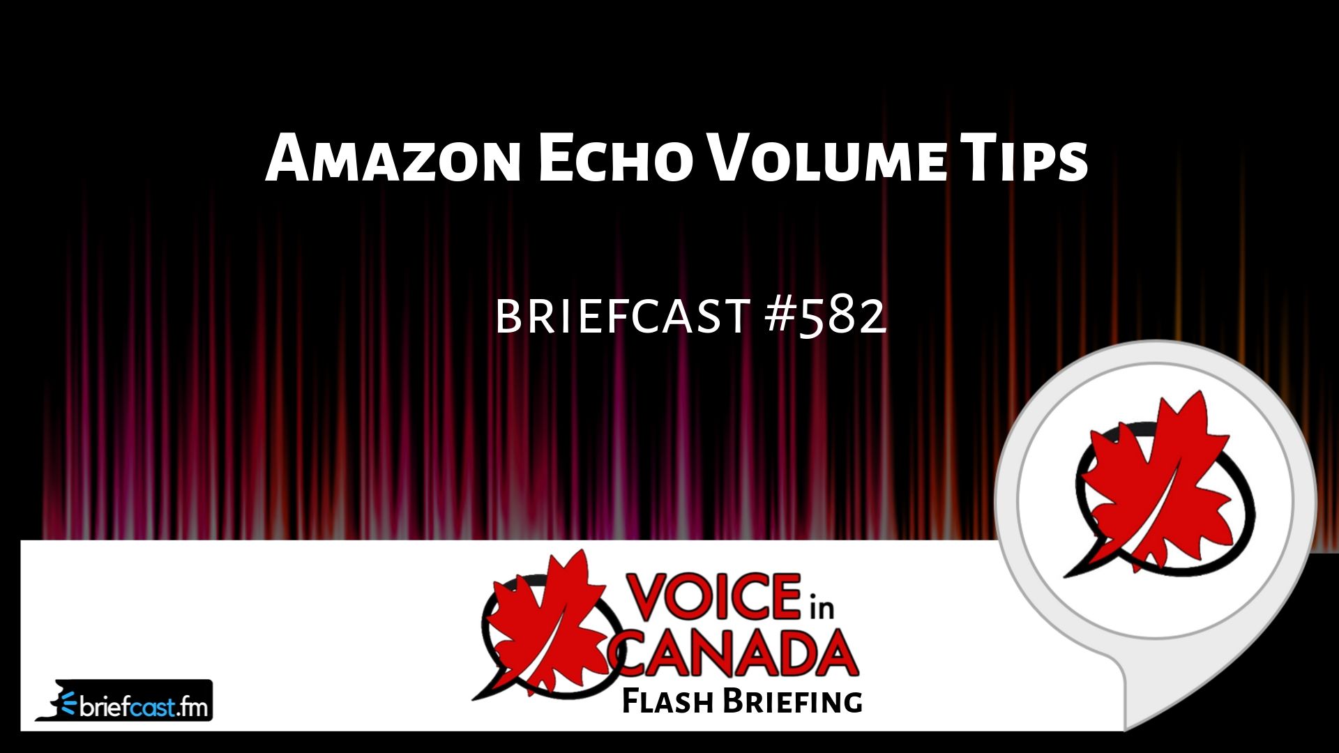 Amazon Echo Volume Tips