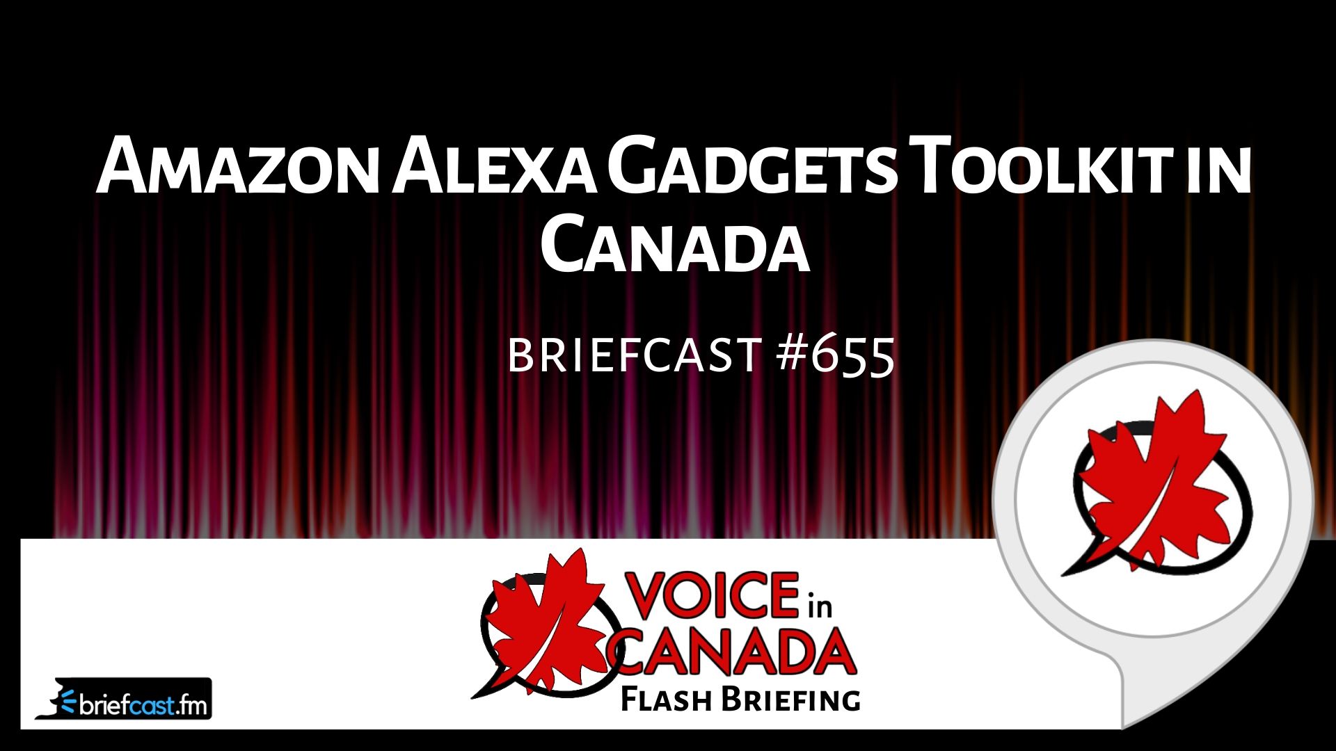 Amazon Alexa Gadgets Toolkit in Canada