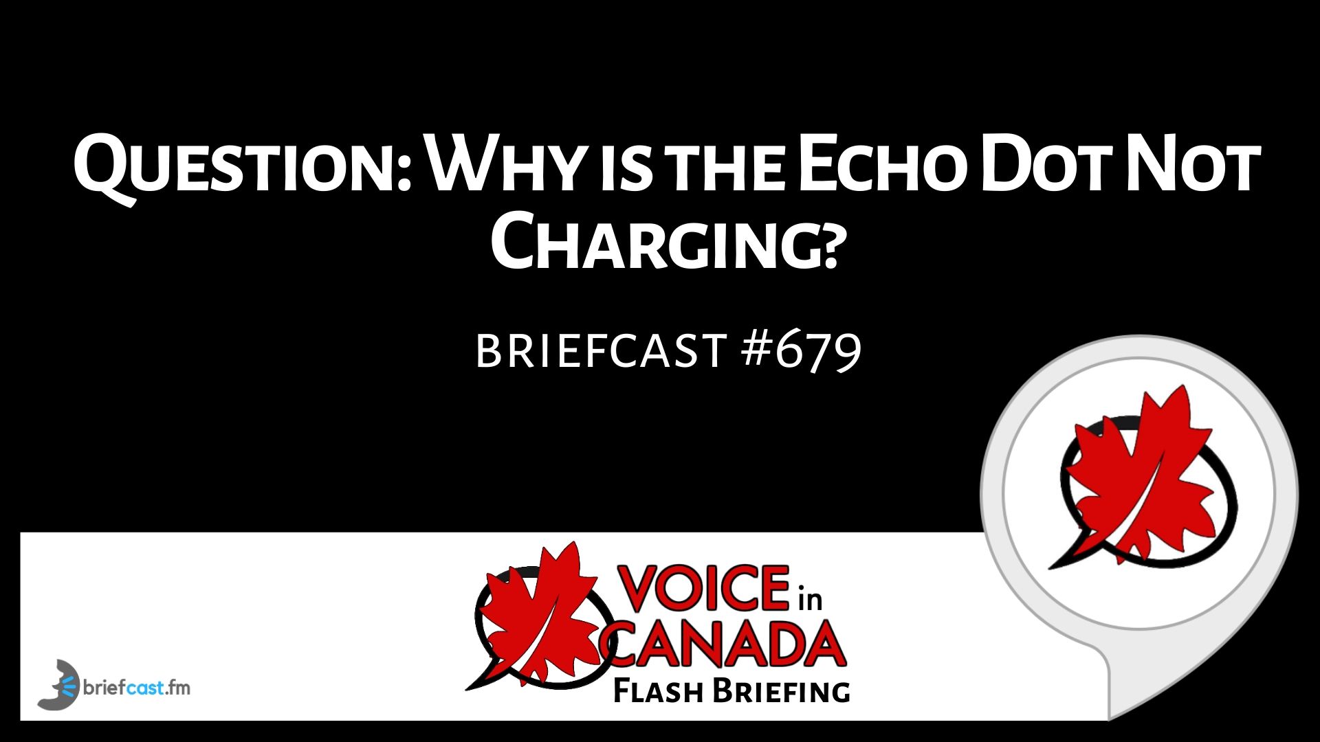 Question: Why is the Echo Dot Not Charging?