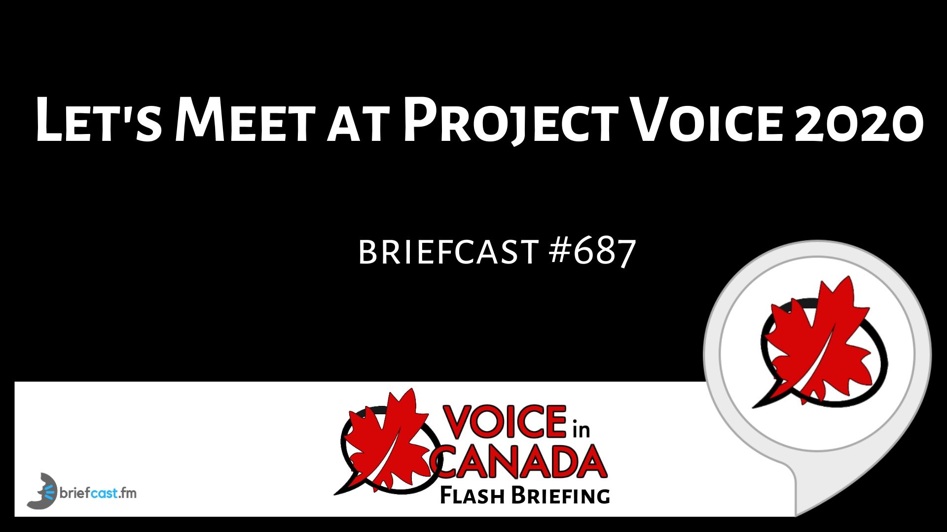 Let's Meet at Project Voice 2020