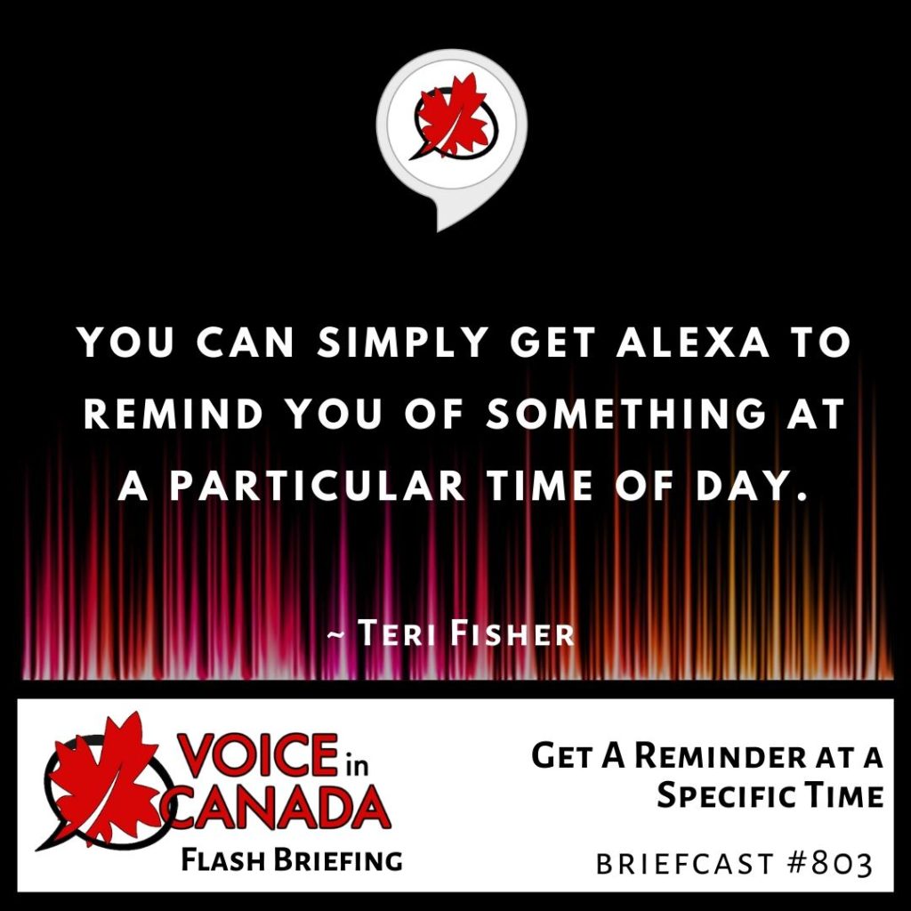 get-a-reminder-at-a-specific-time-voice-in-canada