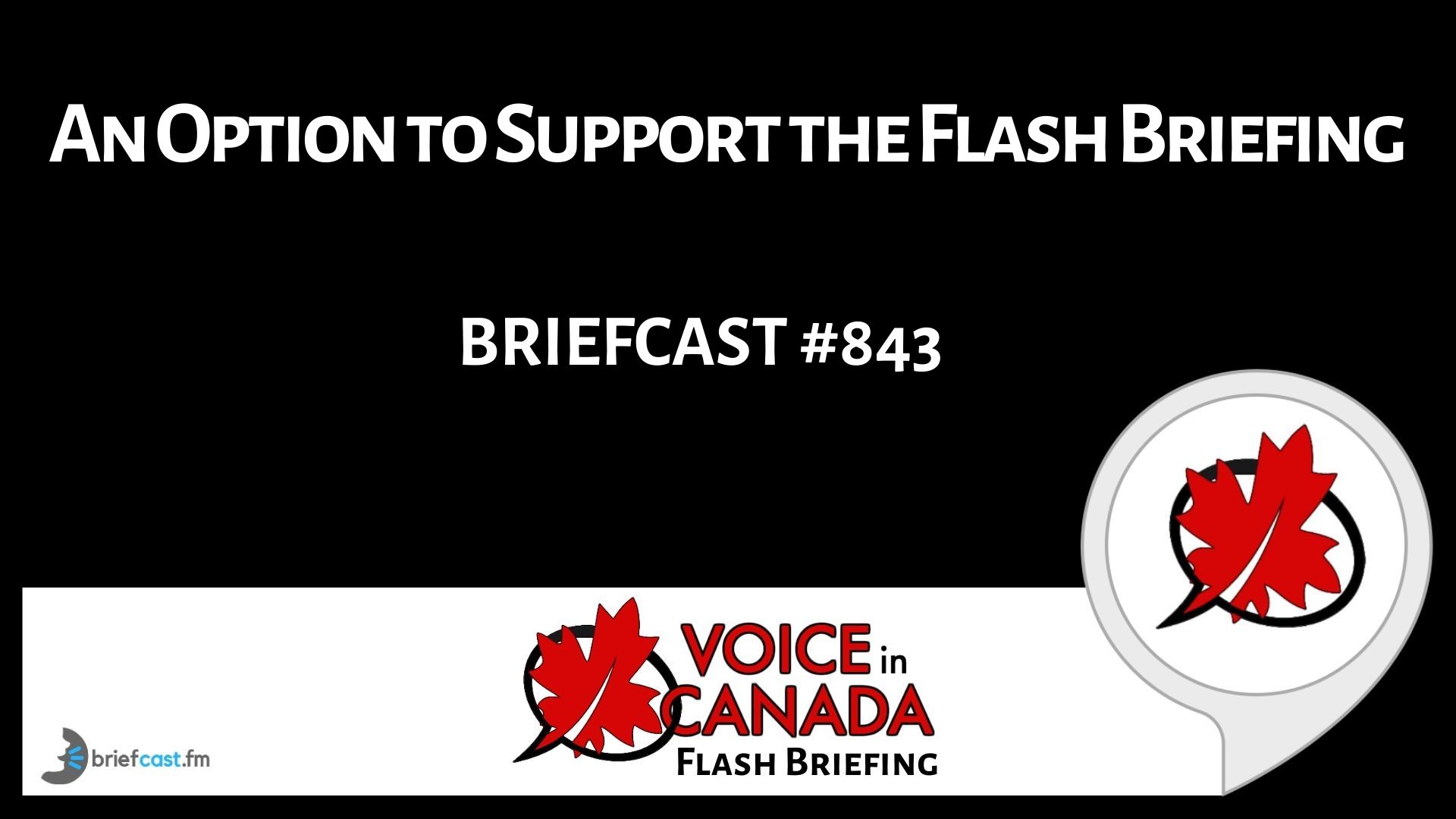 An Option to Support the Flash Briefing