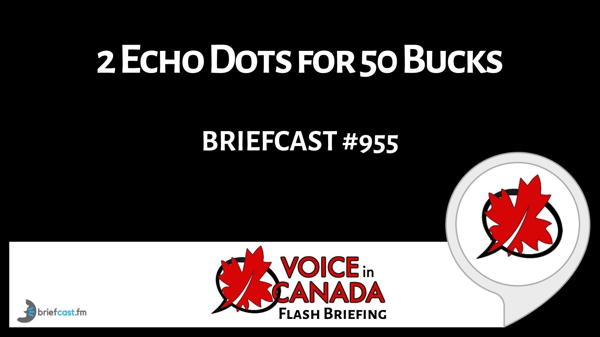 2 Echo Dots for 50 Bucks