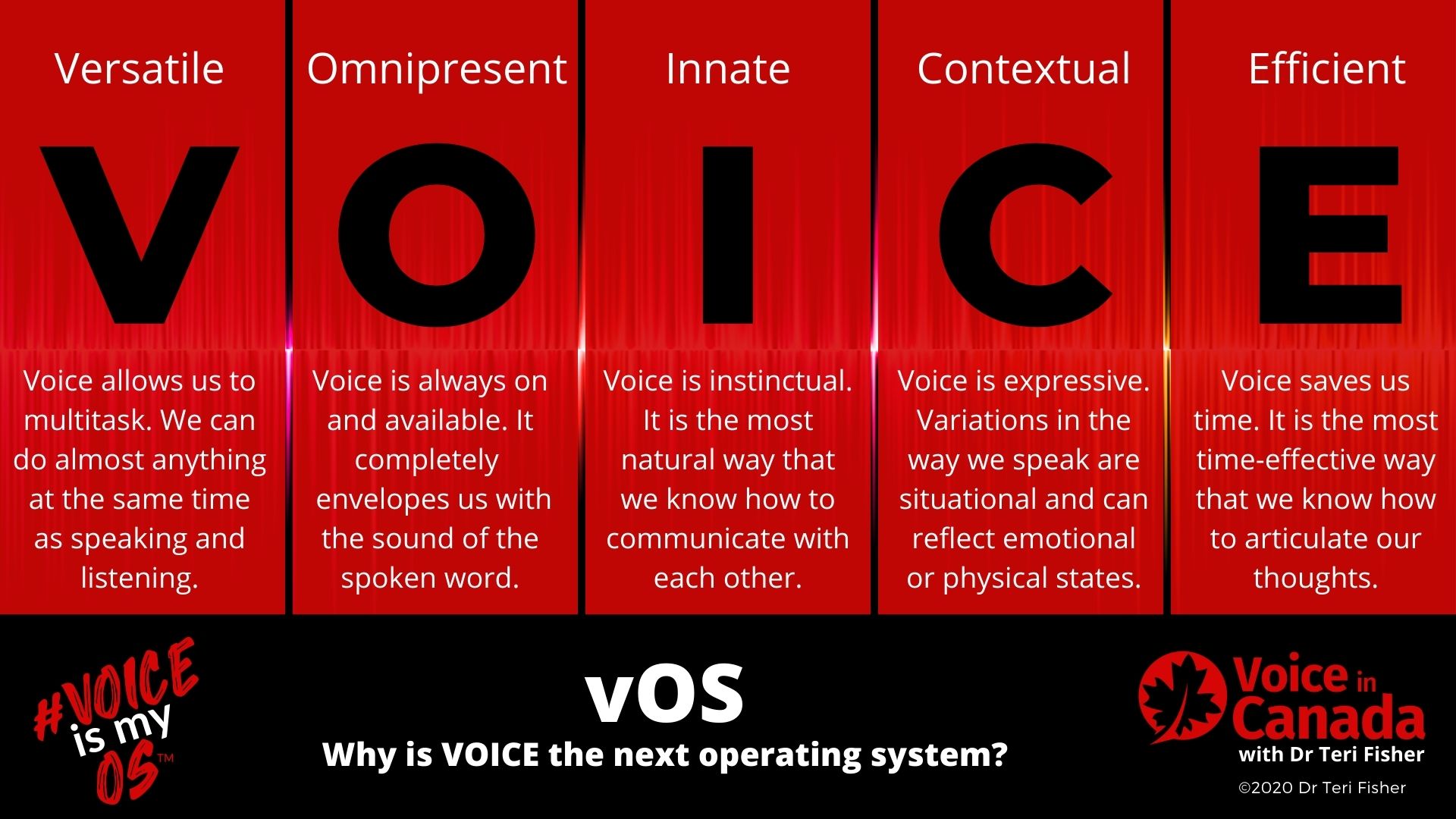 VOICE is my OS Infographic (1)
