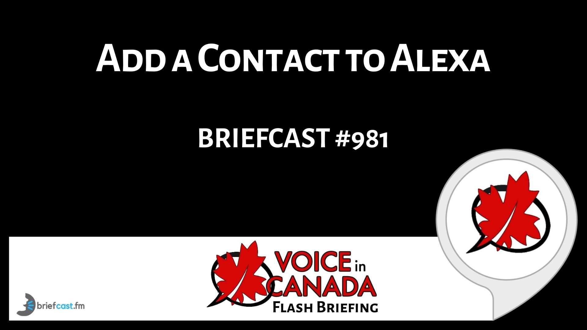 Add a Contact to Alexa