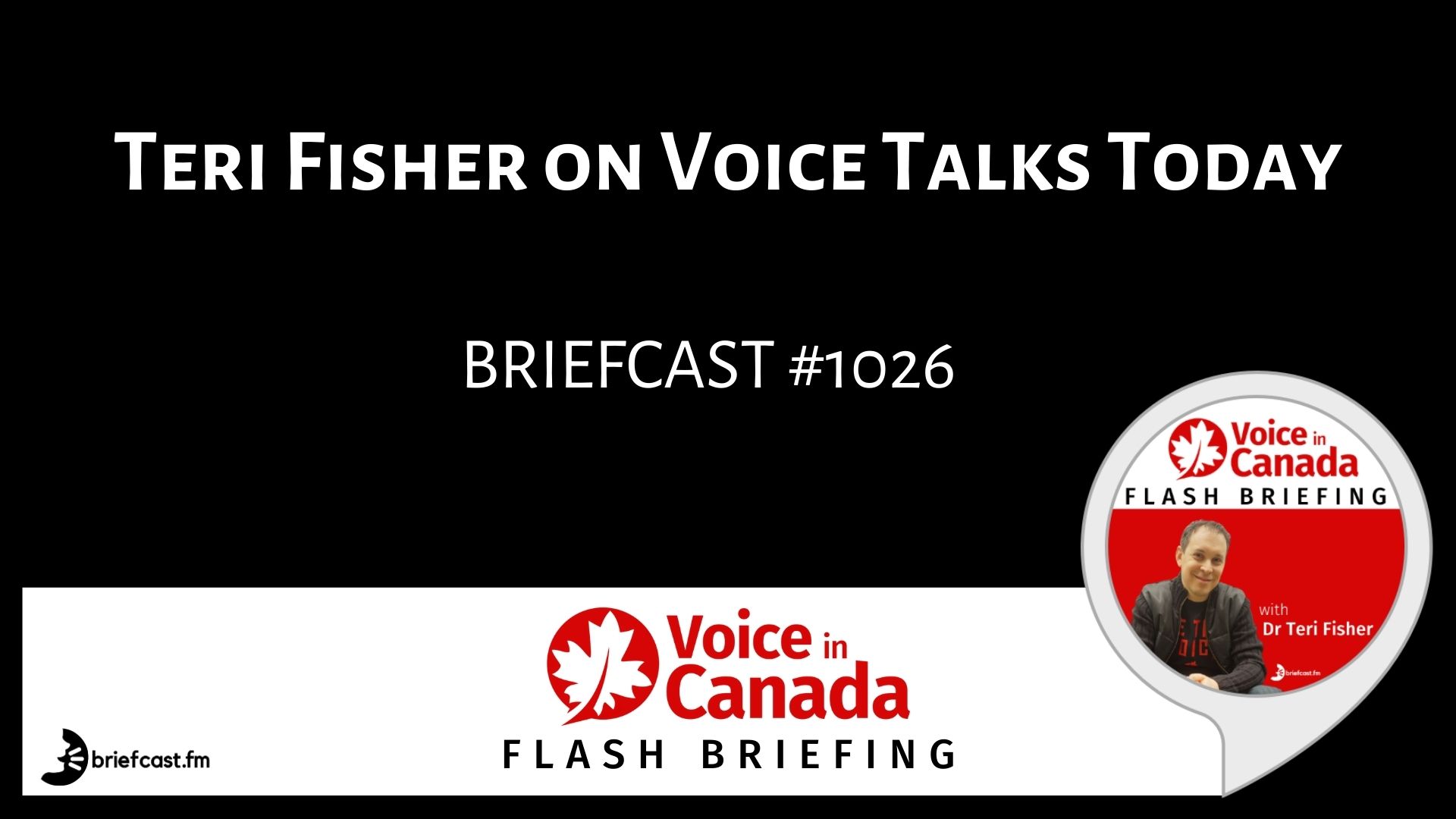 Teri Fisher on Voice Talks Today