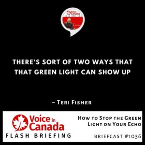 How to Stop the Green Light on Your Echo