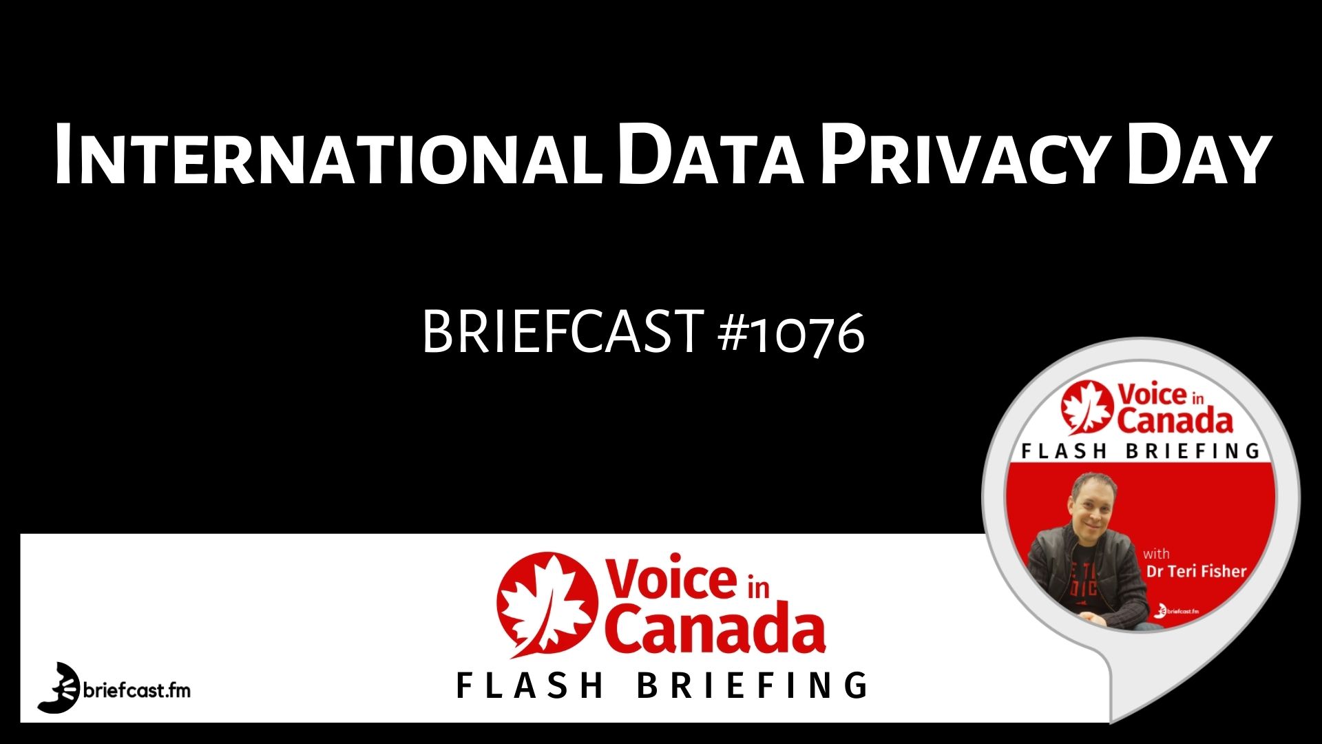 International Data Privacy Day Voice in Canada