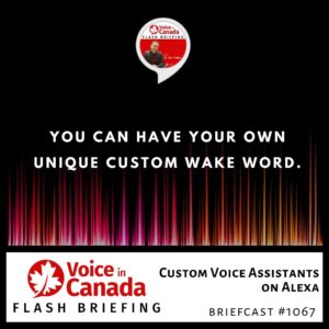 Custom Voice Assistants on Alexa