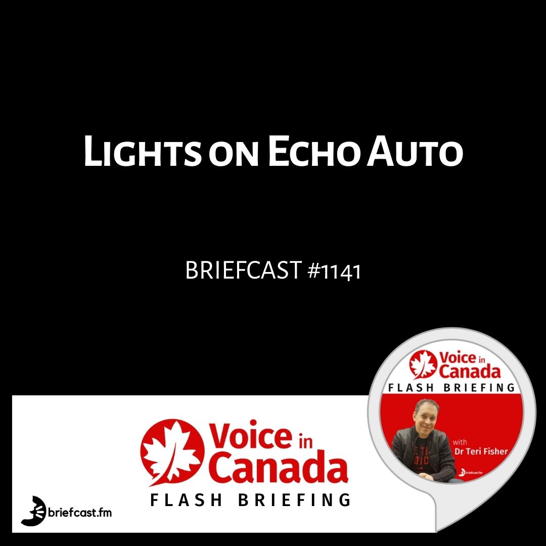 Lights on Echo Auto