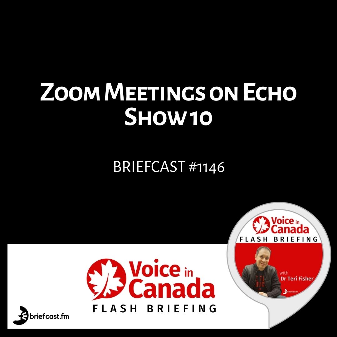 Zoom Meetings on Echo Show 10