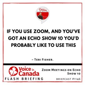 Zoom Meetings on Echo Show 10
