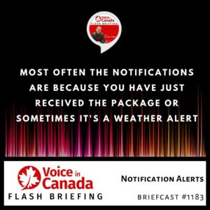 Notification Alerts