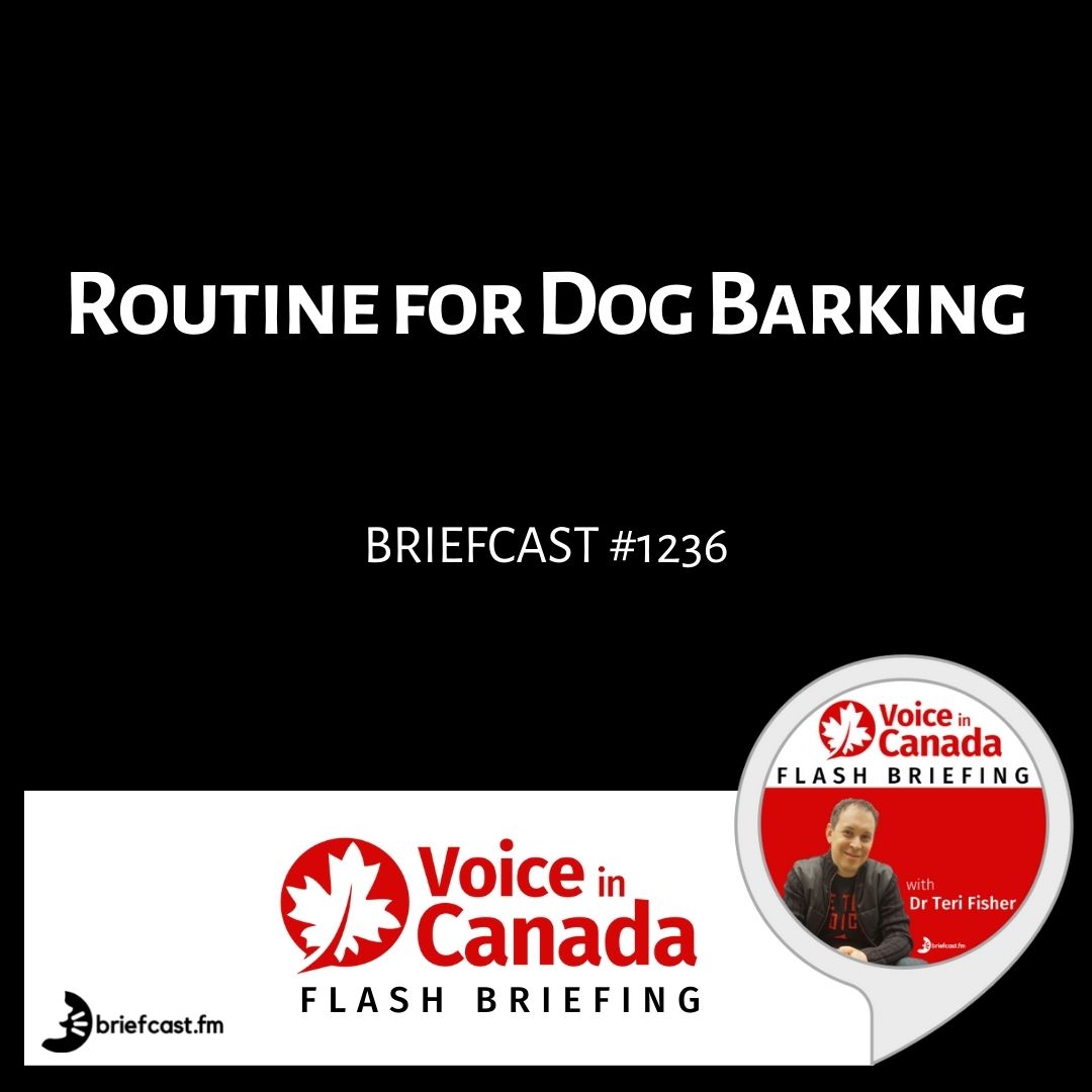 Routine for Dog Barking
