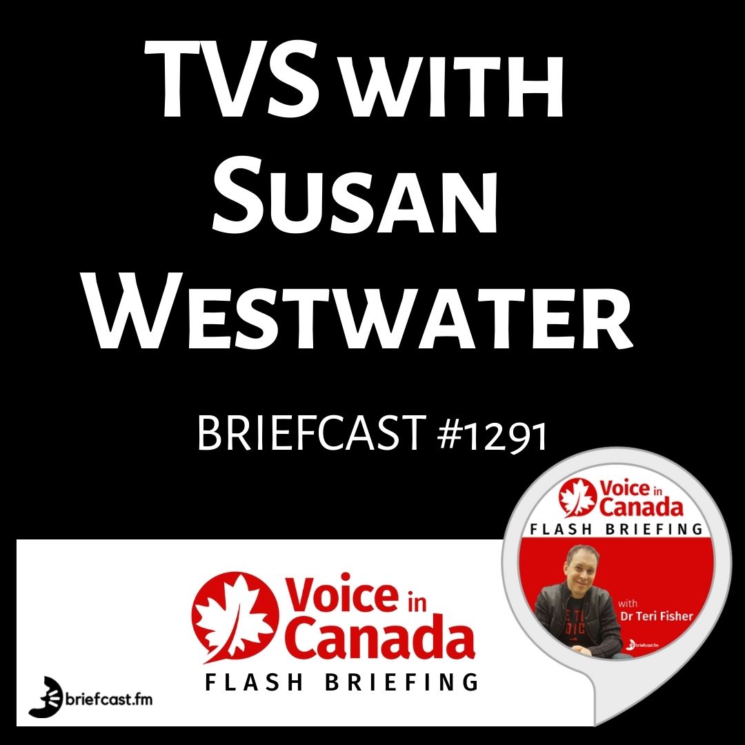 Susan Westwater of Pragmatic Digital on Voice in Canada Podcast