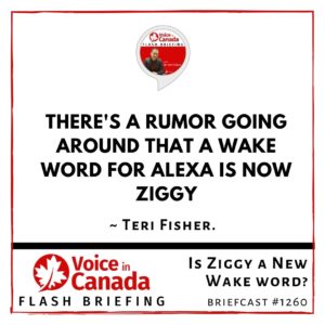 Is Ziggy a New Wake word?