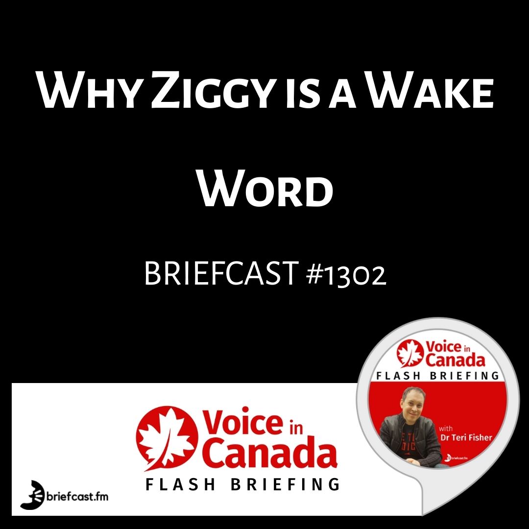 Set Your Wake Word to Ziggy or Ask Alexa to Change it