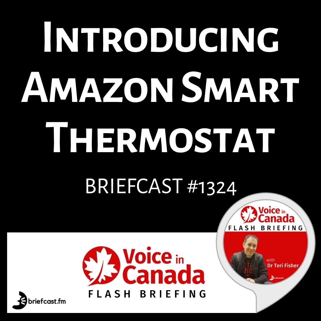 Amazon Smart Thermostat and How to Use Alexa to Control it