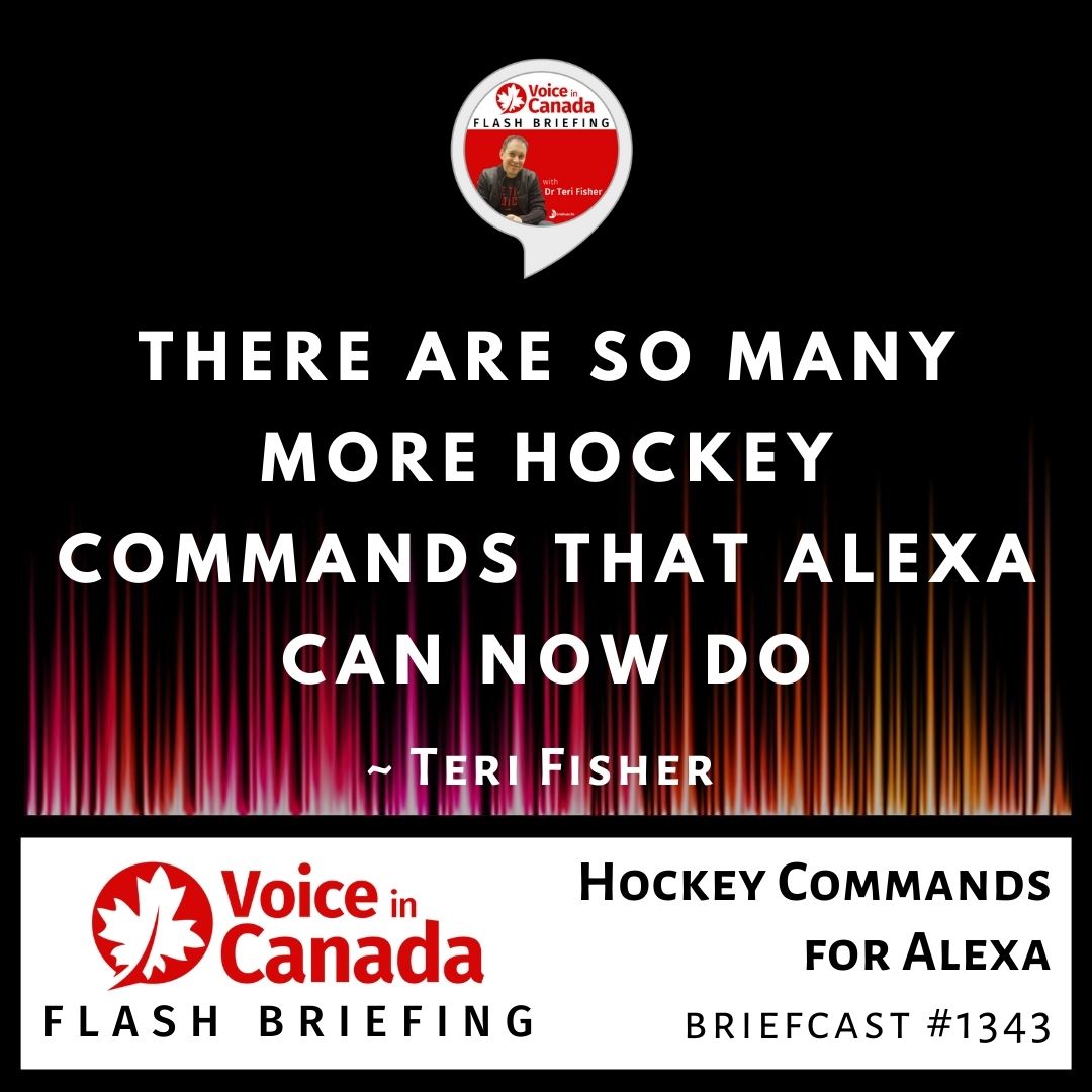 Hockey Commands for Alexa