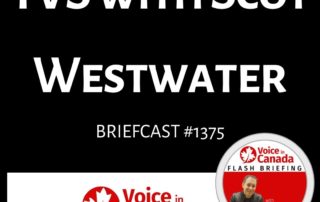 Scot Westwater of Pragmatic Digital on the Voice in Canada Podcast
