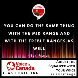 Bass, Treble, and Mid Range Changes on the Equalizer By Voice