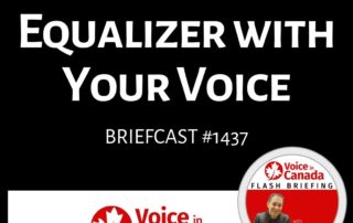 Bass, Treble, and Mid Range Changes on the Equalizer By Voice