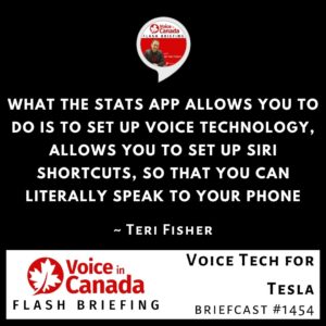 Tesla Control By Voice